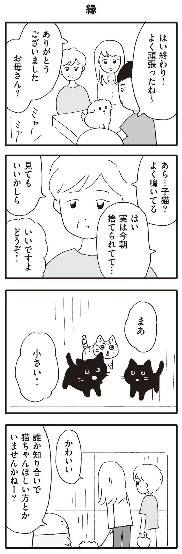 猫ちゃんほしい方とかいませんかねー？