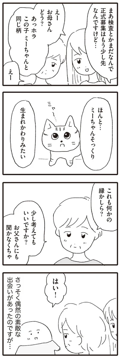 これも何かの縁かしら？