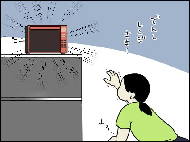 電子レンジ様にお願いするしかない