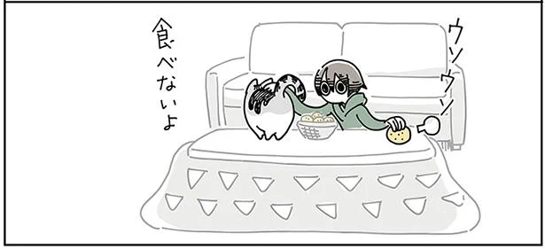 ハッ…ごめんごめん、みかんは食べないよ／夜は猫といっしょ（4）