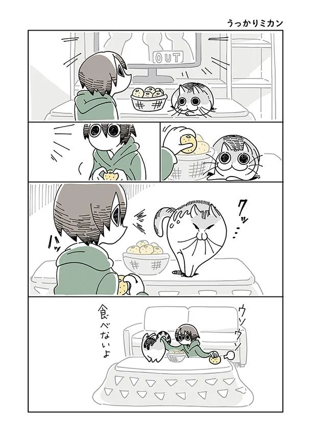 ハッ ごめんごめん みかんは食べないよ 夜は猫といっしょ 4 レタスクラブ ハッ ごめんごめん みかんは食べないよ 夜は猫といっしょ 4 レタスクラブ