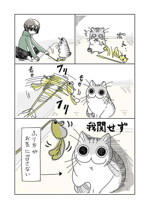 ふり方がお気に召さない