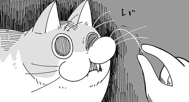ひげにゴミが…そっとやれば怒られないかな?