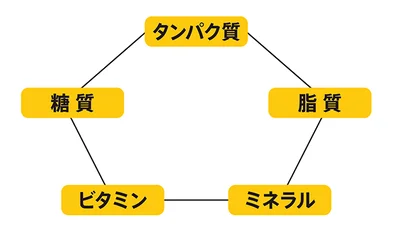 ５大栄養素とは