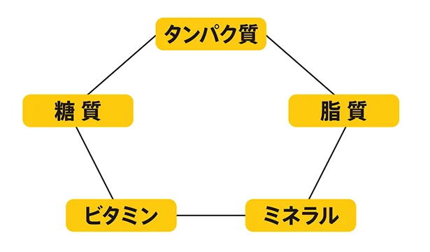 ５大栄養素とは