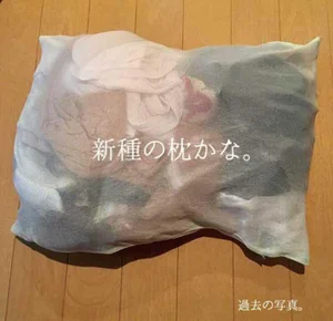 新種の枕かな…？洗濯ネットに洗濯物が詰め放題！／#ゴミ捨てろ（7）