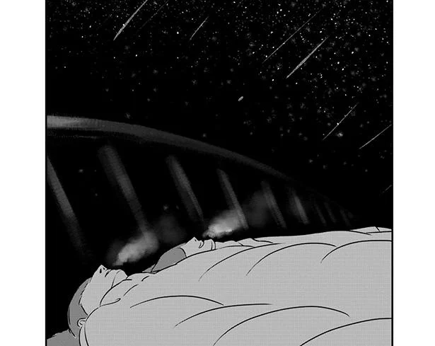特に興味はなかったけれど流星群を見に行きました／妻は他人 だから夫婦は面白い（2）