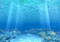 世界から注目されている海洋温度差発電の研究施設が久米島に!?／誰かに話したくなる地球の雑学