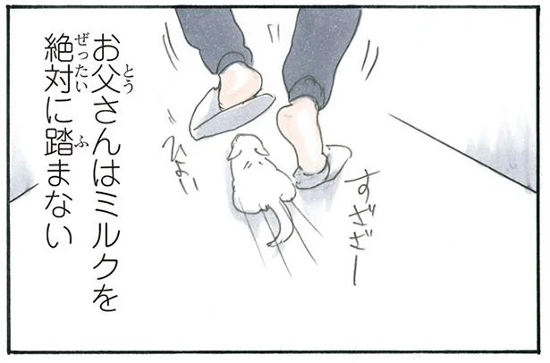 足元で猫がどんな動きをしても絶対に踏まないお父さん