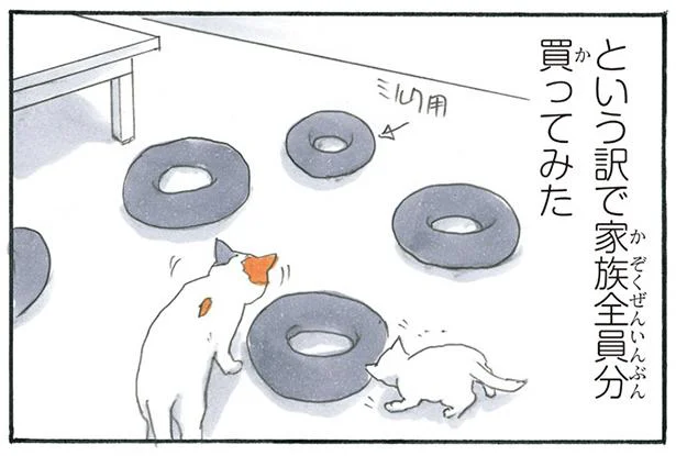 猫たちに超絶人気のドーナツ型クッション/拾い猫のモチャ3(3