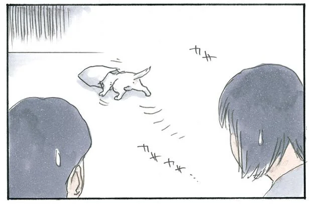 それは一体何をしてるの…？ モチャの謎行動／拾い猫のモチャ3（4）