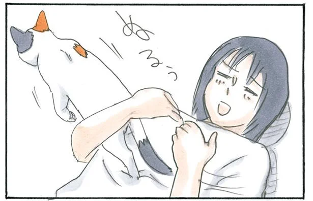 おいでー…あれ?