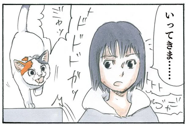 出かけるときにやってくる足止めのプロ／拾い猫のモチャ3（7）