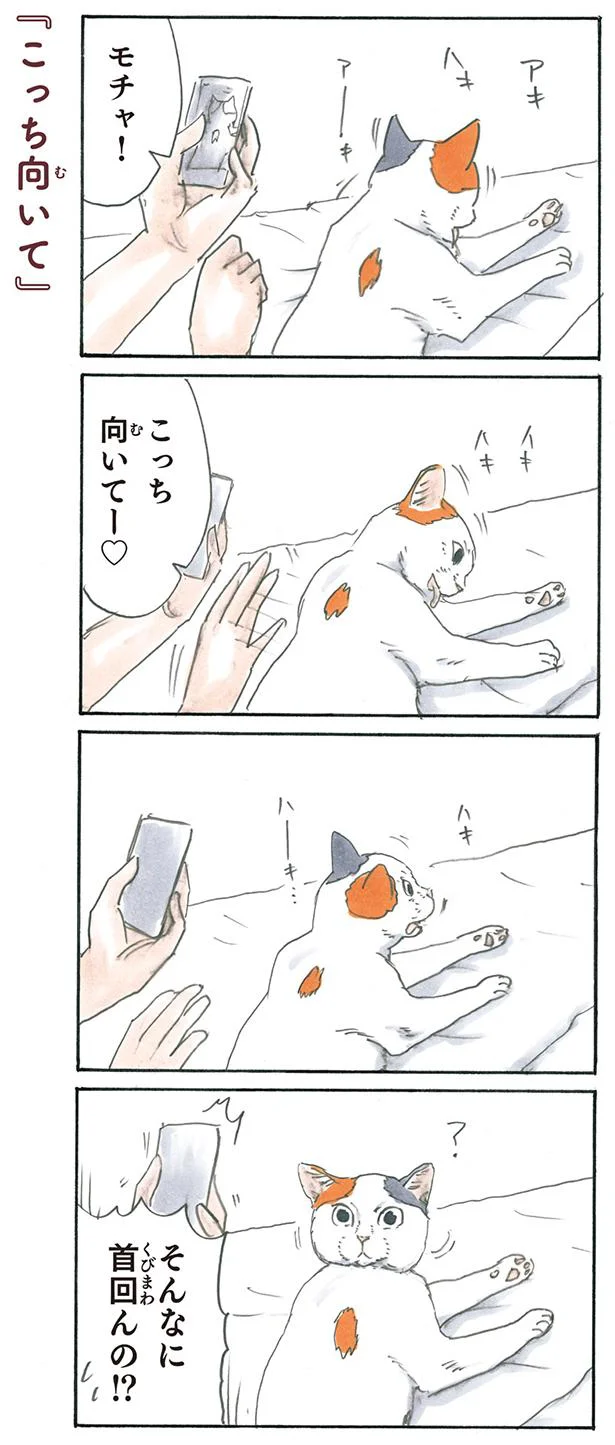 こっち向いて