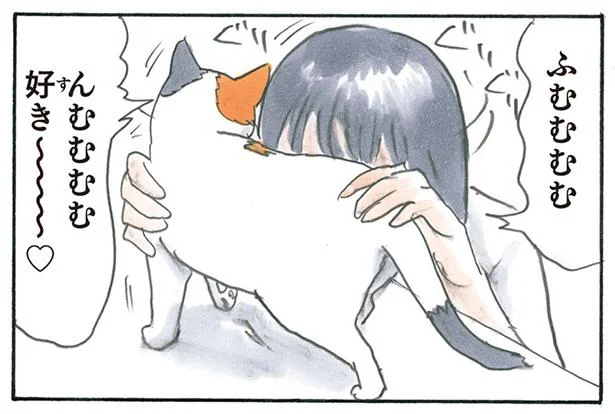 猫を吸ってから気づく悲劇。今は「あの季節」だった／拾い猫のモチャ3（8）