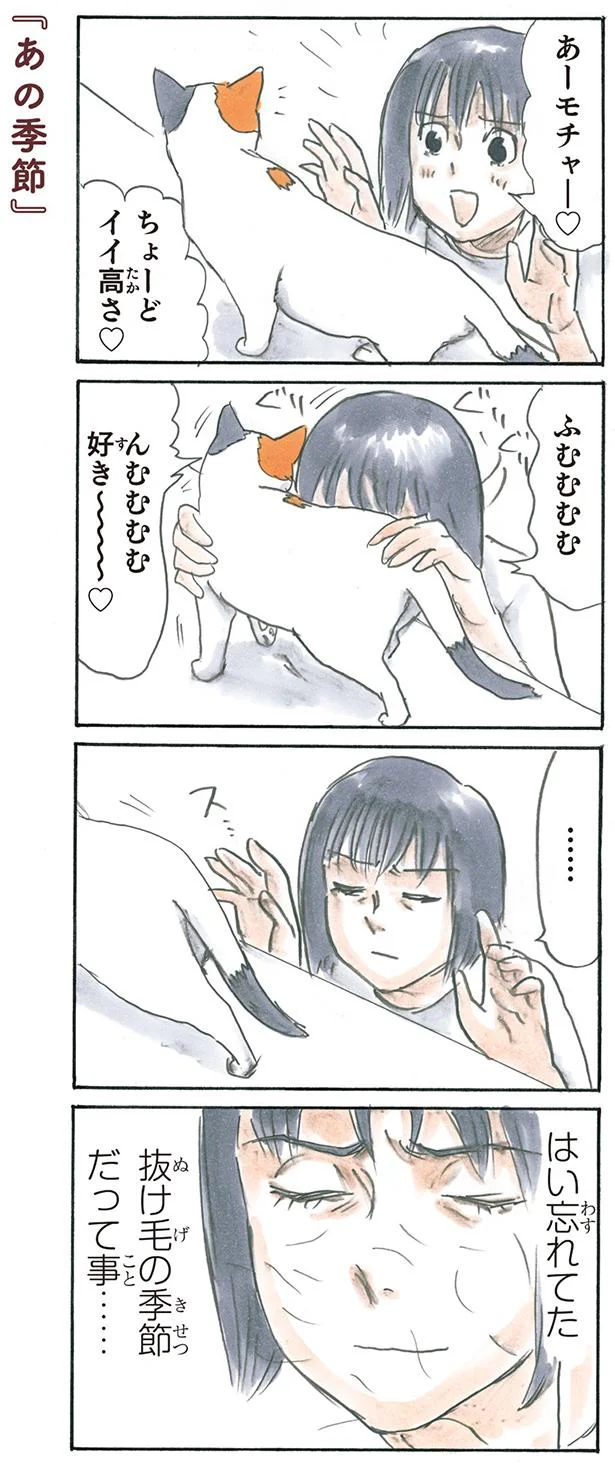 【画像を見る】あの季節