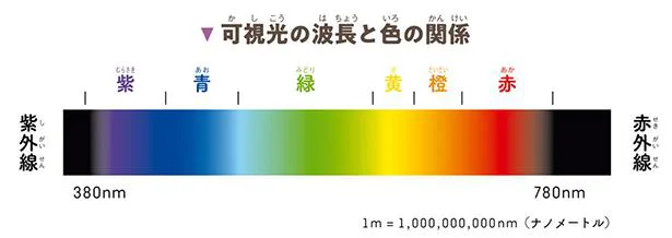 可視光の波長と色の関係