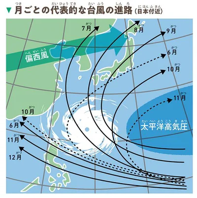 月ごとの代表的な台風の進路