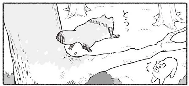 モモンガのマネをして、たぬきが木の上から滑空したら…／クマとたぬき２（3）