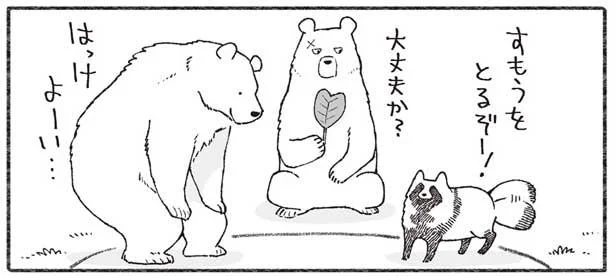 すもうをとったクマとたぬき。果たして勝敗の行方は…？／クマとたぬき２（5）