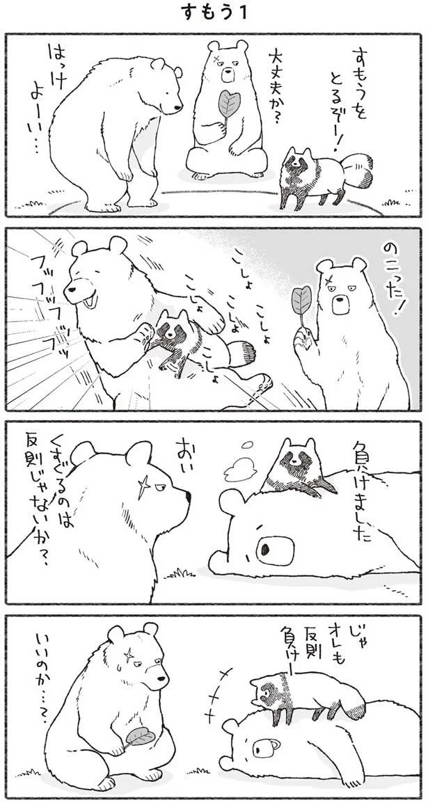 クマとたぬきのすもう