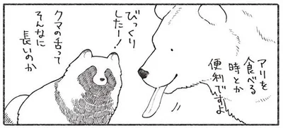 クマの舌ってそんなに長いのか