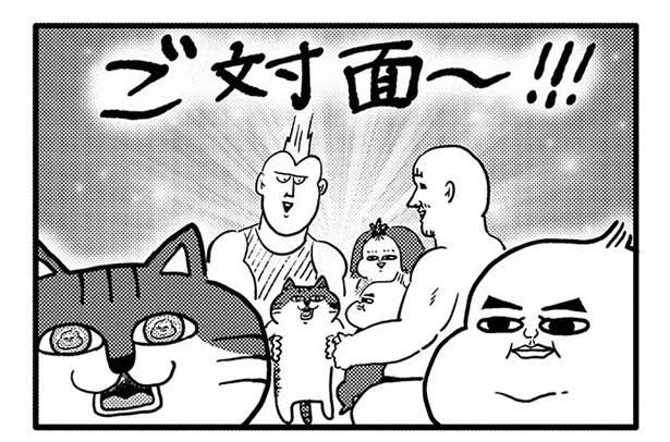 息子さんと飼い猫ゴメスの初対面…猫の反応は?