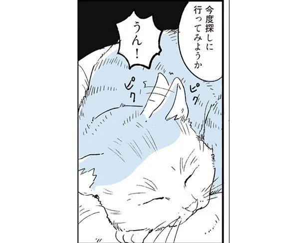 カエルが見たいと話していたら…