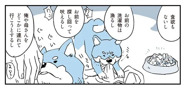 あのままだったらどうなっていたか…犬の報せる不吉な予兆／動物たちが残した不思議なメッセージ（6）