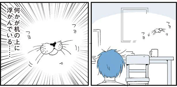 空間に発生したバグか何か？ 部屋に浮かぶ猫の口／動物たちが残した不思議なメッセージ（7）