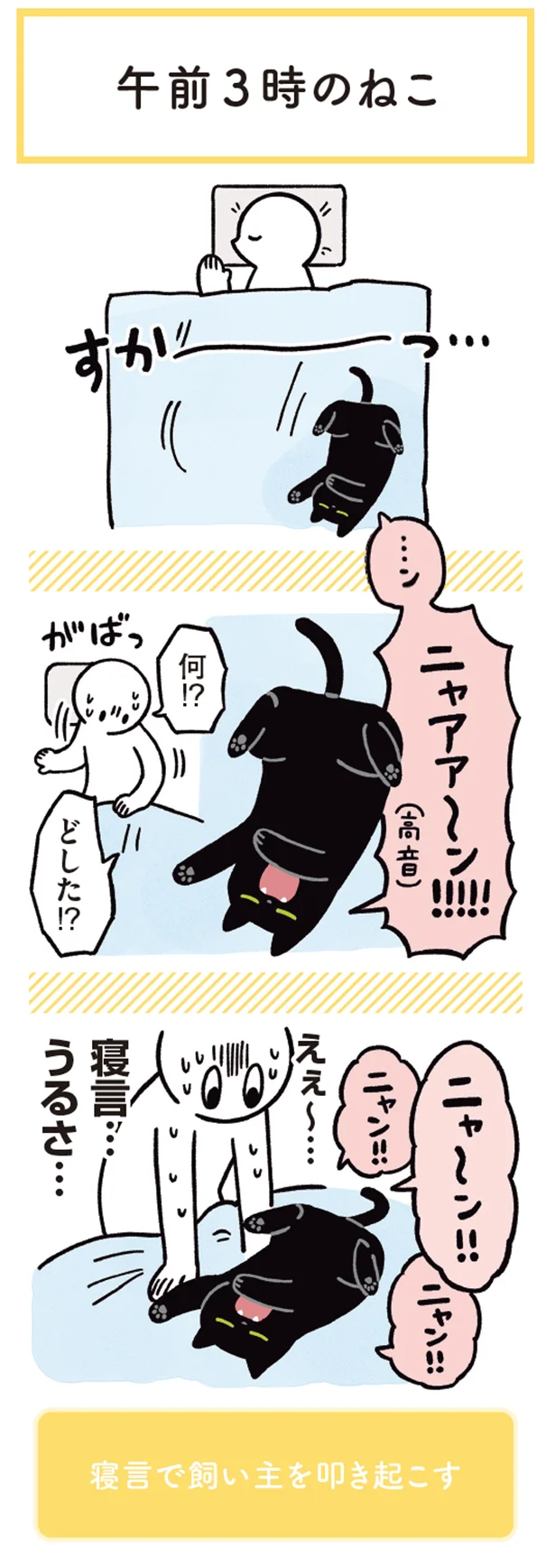 午前３時のねこ