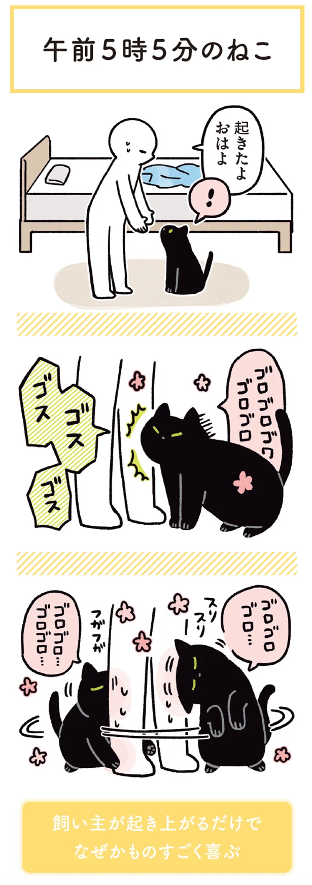 午前５時５分のねこ