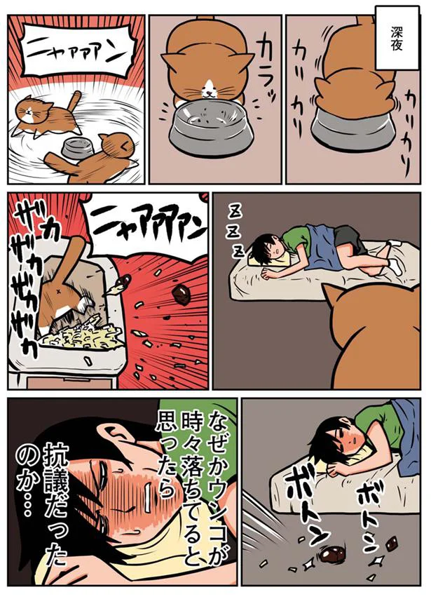 なんだ 友人の話と違うな ウチの猫のなでポイントは 鴻池剛と猫のぽんた ニャアアアン 1 レタスクラブ