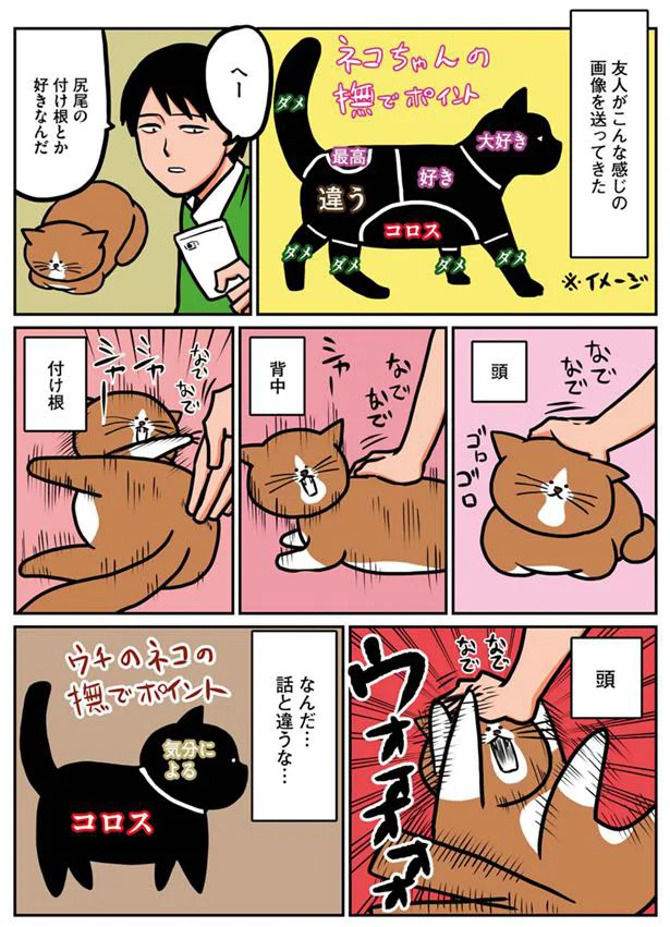 ネコちゃんの撫でポイント