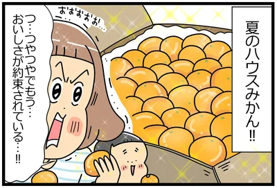 つやつや夏のハウスみかん！！