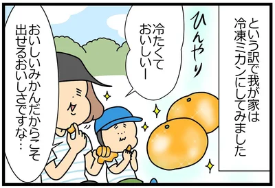 冷たくておいしい冷凍みかん