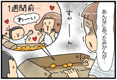 段ボール1箱のみかんを食べつくしてしまっていました