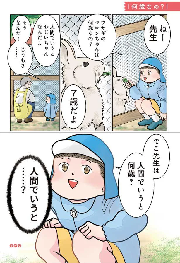 先生は人間でいうと何歳？