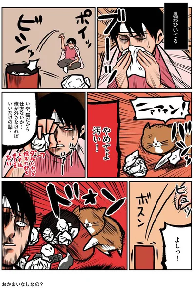 猫だから仕方ないか…