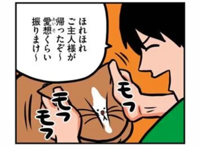 ご主人さまのお帰りだ