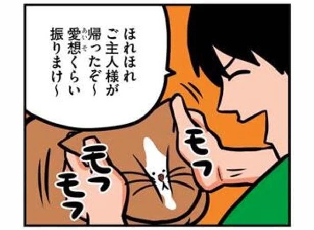 ご主人さまのお帰りだ