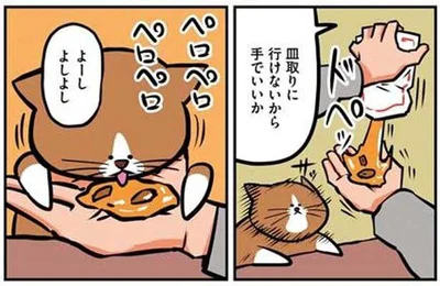 手でいいか、よーしよしよし