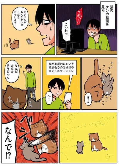 ケンカしたらどうしよう…