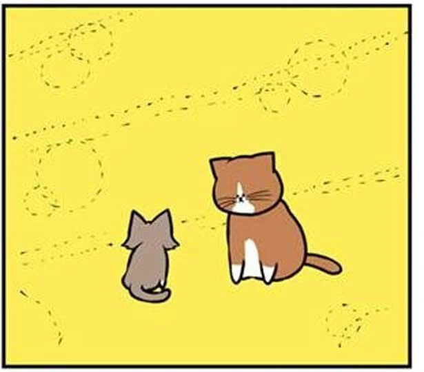 二匹の仲は…?