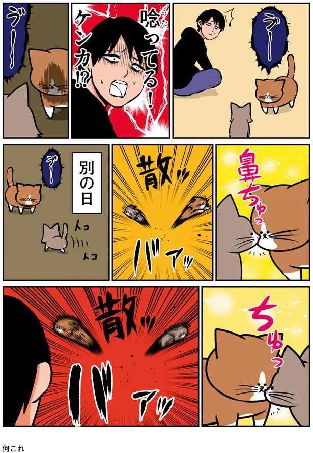 痛い痛い 助けて 想像を絶する 生後3ヶ月の子猫との生活 鴻池剛と猫のぽんた ニャアアアン 8 画像3 6 レタスクラブ