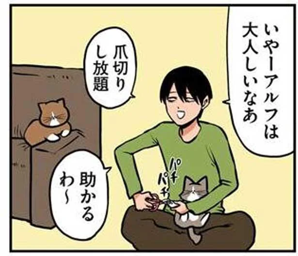 爪切りし放題、助かるわ~