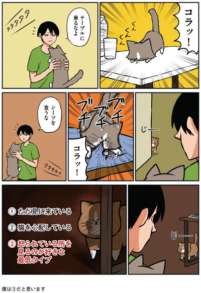 他の猫が怒られていると見に来る猫