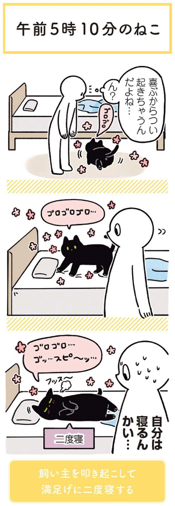 飼い主をたたき起こして二度寝