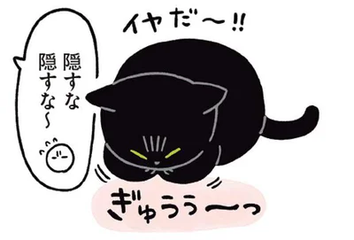 爪を隠すねこ