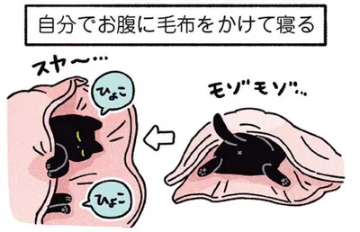 自分でお腹に毛布をかけて寝る